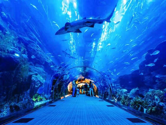 https://fasteagletravelandtoursim.com/wp-content/uploads/2025/05/019832649f94f055d933da7573924270-1.jpg