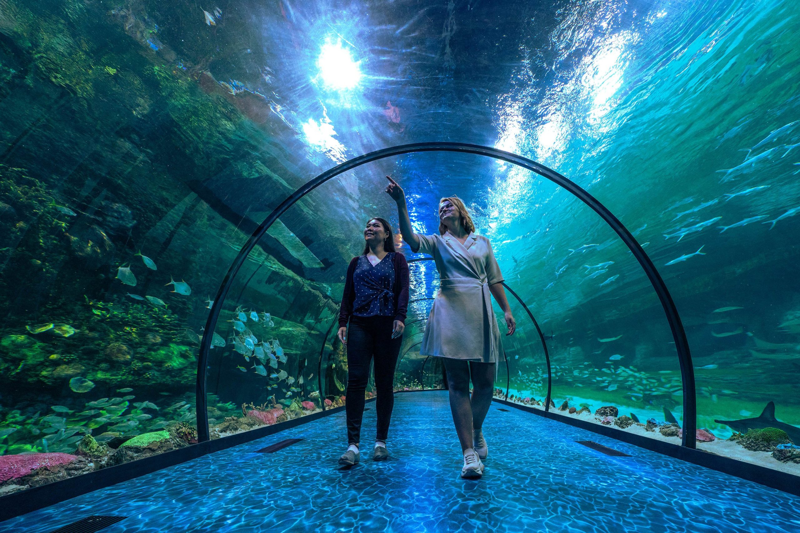 https://fasteagletravelandtoursim.com/wp-content/uploads/2025/05/DCT_AlQana_National_Aquarium_AD-30-scaled.jpg