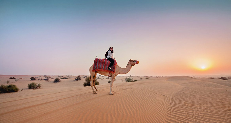 https://fasteagletravelandtoursim.com/wp-content/uploads/2025/05/Morning-Desert-Safari-Abu-Dhabi.jpg