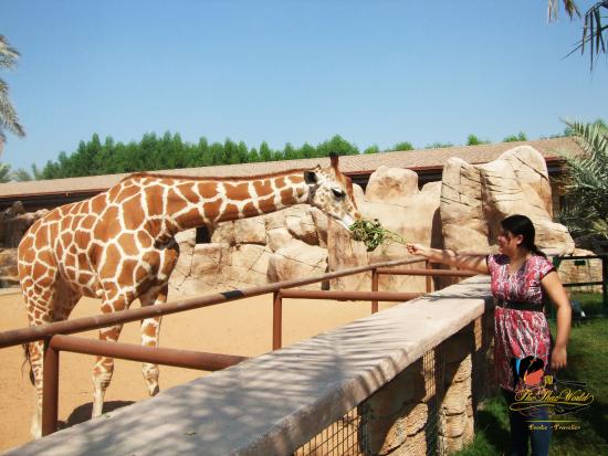 https://fasteagletravelandtoursim.com/wp-content/uploads/2025/05/emirates-park-resort.jpg