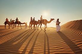 https://fasteagletravelandtoursim.com/wp-content/uploads/2025/05/images-3-9.jpg
