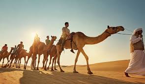 https://fasteagletravelandtoursim.com/wp-content/uploads/2025/05/images-4-3.jpg